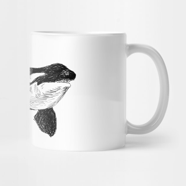 Killer Whale Image by rachelsfinelines